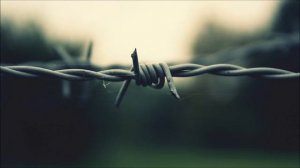 Беломорканал - Проза жизни