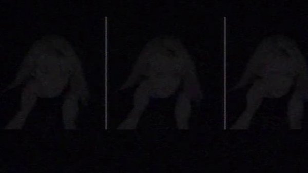 France Gall / Michel Berger - Les élans du coeur (1993)