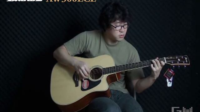 Ibanez AW300ECE смотреть онлайн
