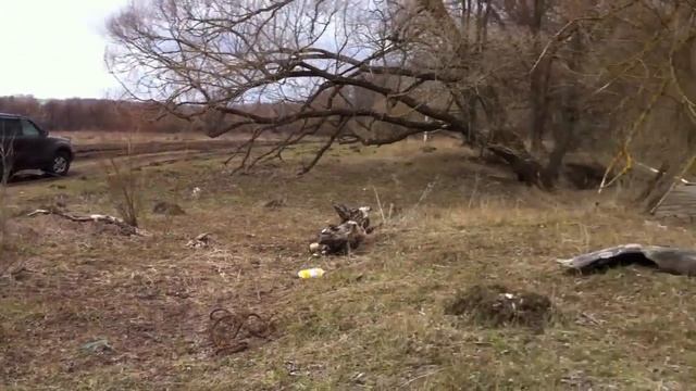 Подворье "Лукино". Паводок на реке Вашана. смотреть онлайн