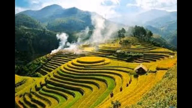Chàng rể quyền thế - Bùi Nguyên Minh - Tập 17 смотреть онлайн