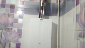 ОНЛАЙН ТРЕЙД.РУ — Газовая колонка Zanussi GWH 10 Fonte