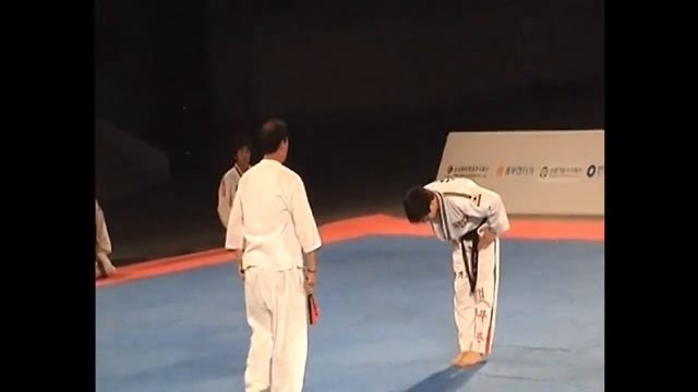 HAPKIDO DEMOnstration in Busan, Korea 2008. ХАПКИДО - Показательное выступление в Пусан, Южная Коре смотреть онлайн