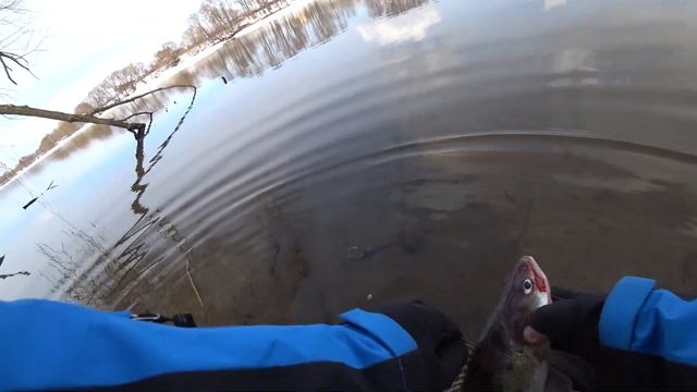 Рыбалка в подмосковье Щука, берш. Рыбалка на джиг. смотреть онлайн