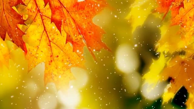 Алексеева Татьяна Любовь волшебная страна смотреть онлайн