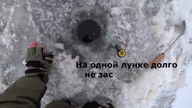 Как зимой со льда поймать молодого леща)) смотреть онлайн