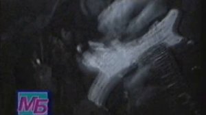 Дети рок н ролла