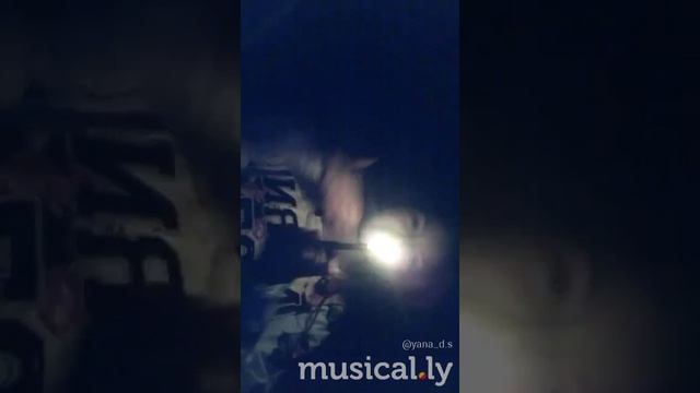 Самбо белого мотылька. смотреть онлайн