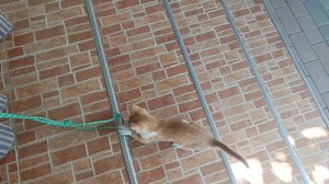 влог с Акси💓💞