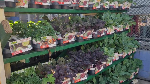 Lowe's Landscaping Plants & Fruit Trees 3-18-23