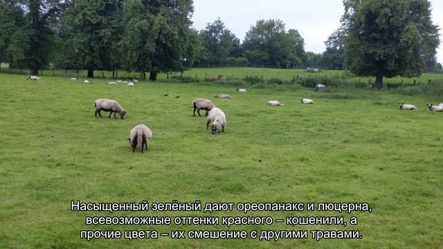 Отдых в Эквадоре - народные промыслы провинции Тунгурауа смотреть онлайн
