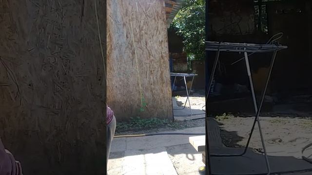 я показываю как прыгать на самокате смотреть онлайн