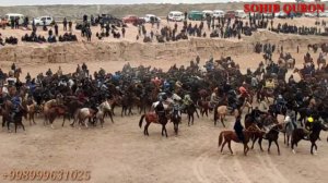 АРАБХОНА ТОЛМОС ПАЛВОН КАТТА УЛОК КУПКАРИ ТУЙИ
