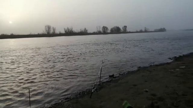 Рабалка, Астраханская область, Камызякский район.