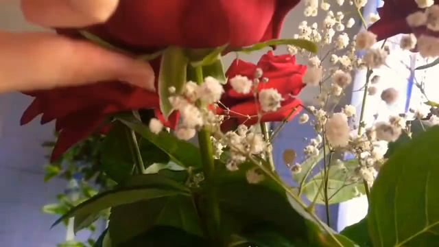 По каким признаком выбрать розы в подарок) смотреть онлайн