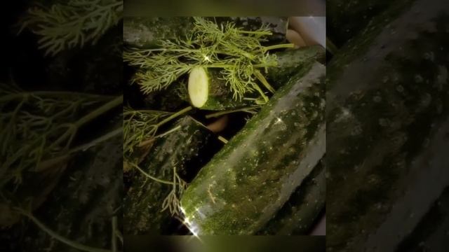 Домашний уют с Эльвирой