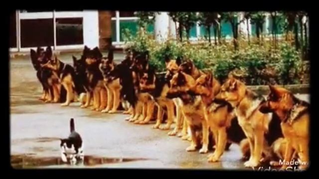 Лето как быстро оно проходит????? смотреть онлайн