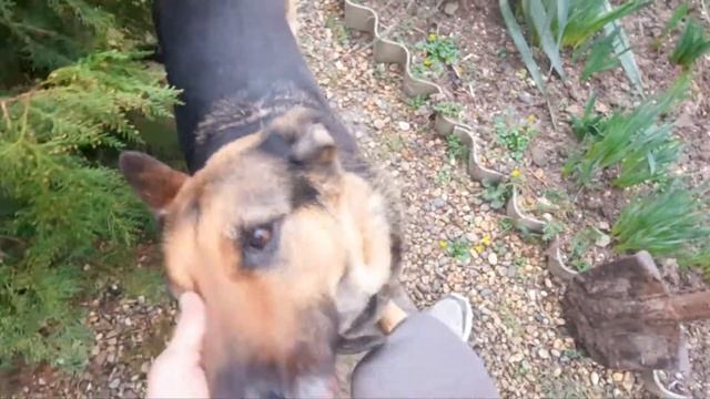 Подарок своими руками на 8 марта// Поздравляю всех женщин с праздником весны смотреть онлайн