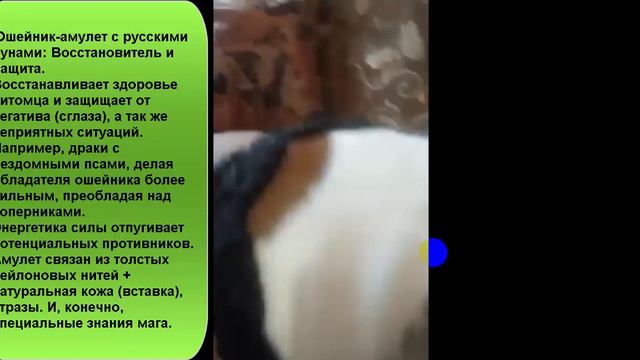 Ошейник русские руны: восстановитель здоровья и защита смотреть онлайн