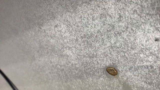 14 мая 2022 г. смотреть онлайн