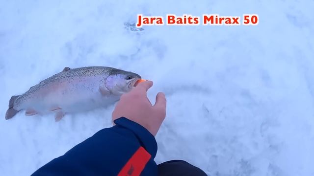 Две Личинки Решают | Форель на Платнике | Panoptix смотреть онлайн