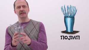 Мусорное биомоделирование. Медузы и их родственники. Часть 1 - Полипы.