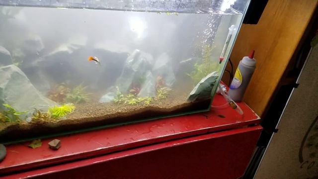 Update on the ADA Aquarium Zen Donated Tank- Hardscaping, start of Planting and CO2 Plans смотреть онлайн