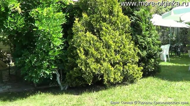 Ольгинка пер Прохладный,1 Ролик №2 2015 год смотреть онлайн