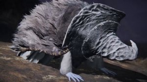 Elden ring. Весь квест Лоскутика v1.4