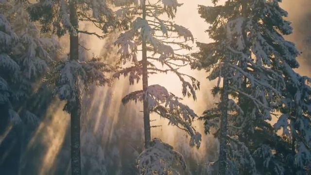 Winter Sonata Still / Lee Ji Soo 이지수 (Piano Cover) смотреть онлайн