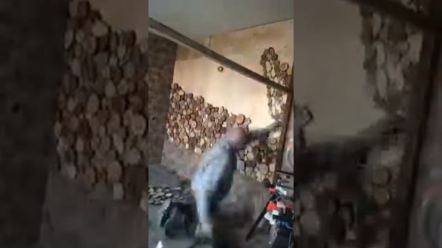 Панно из спилов дерева, процесс изготовления смотреть онлайн