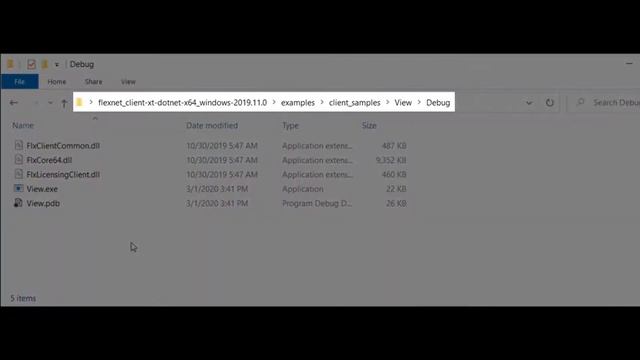 Running the FlexNet Embedded .NET XT license activation example смотреть онлайн