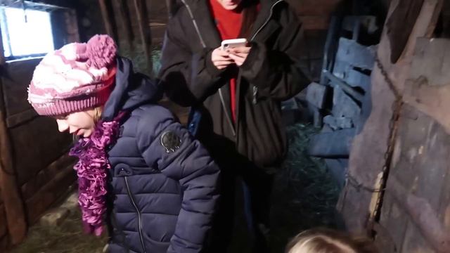 VLOG Мы в селе с Настей и Катей. Фотосессия с козлятами. смотреть онлайн