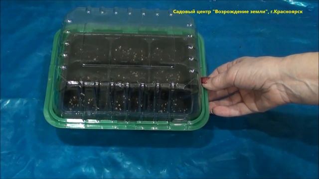 Выращиваем острый перчик для дома и дачи. смотреть онлайн