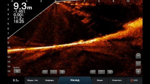 Garmin Panoptix Livescope и Ps22: плюсы и минусы применительно к зимней рыбалке