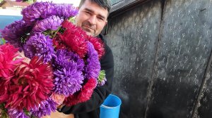 Работы на даче осенью хватает. Выбросили ведро чеснока.