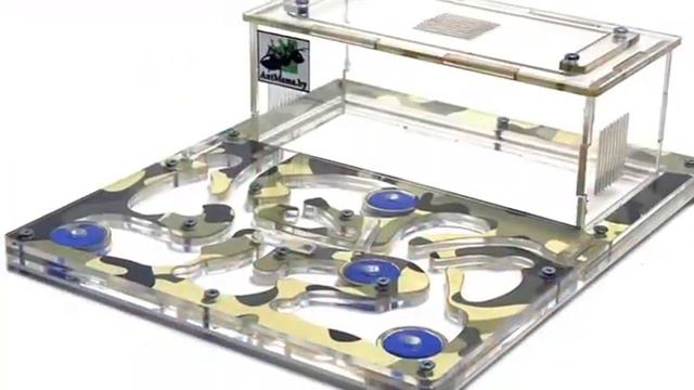 Муравьиные фермы со скидкой на 23 февраля и 8 марта смотреть онлайн