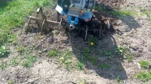 Переделанные Самодельные Фрезы Целина в Ротоваторы. 1 проход.