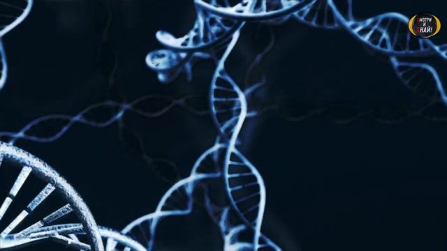 Волшебство ухода за волосами