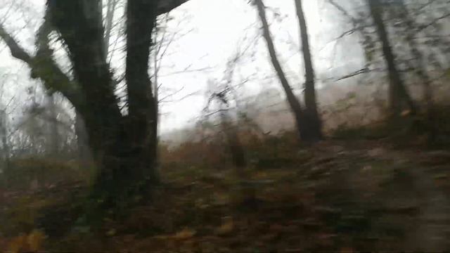 Лазаревское, сорт участок 23.03.2021 год, 12.39 р. м. смотреть онлайн