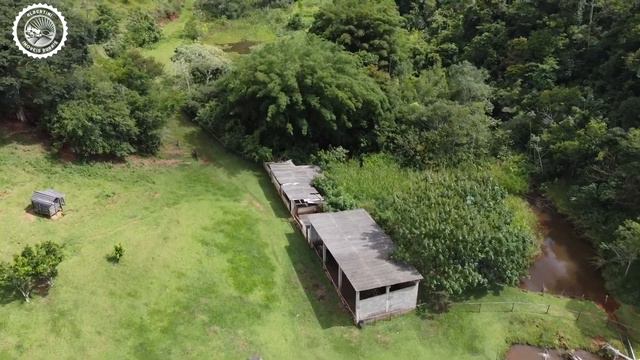 PROPRIEDADE PARA GADO LEITEIRO 💰R$2.800.000,00 📍LIMA DUARTE - MINAS GERAIS смотреть онлайн