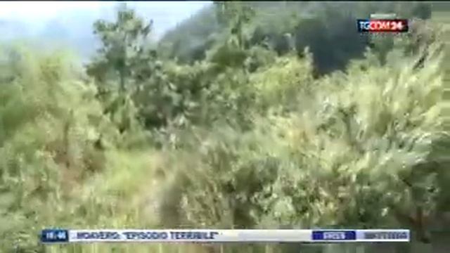 UCCISO A CACCIA, ON. BRAMBILLA: "OMICIDIO VENATORIO, CACCIATORI POTENZIALI ASSASSINI" смотреть онлайн