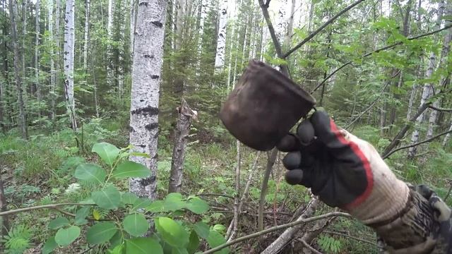 ОКАЗЫВАЕТСЯ И НА НОВЫХ ДЕЛЯНКАХ МОЖНО НАЙТИ МЕТАЛЛ! ПО МАЛЕНЬКУ,ПО ЧУТЬ ЧУТЬ МЕТАЛЛА НАКОПАЛ! смотреть онлайн