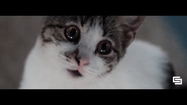 Samsung NX3000 - 45mm Video Test (2020)