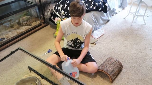 how to set up a ball python cage смотреть онлайн