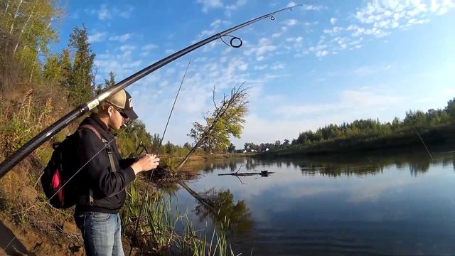 Rivolta 852 vs Vivo EX 842 сравнение. Плюсы, минусы, работа бланков в одном кадре! смотреть онлайн