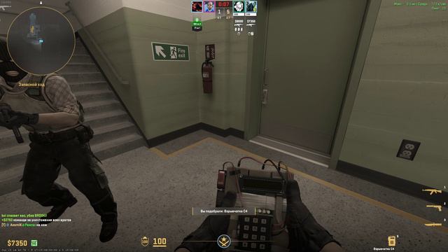 Counter-strike 2|Напарники|Крысы они и в жизни крысы смотреть онлайн