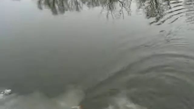 Ловля окуня смотреть онлайн