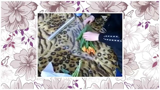 Как упаковать тюльпаны на 8 марта смотреть онлайн