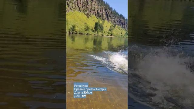 Заплыв в реке Куда смотреть онлайн